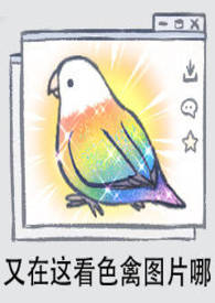 各类同人堆积处