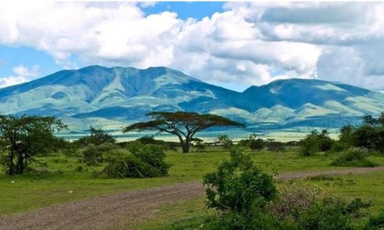 第27章 强制发情的雄狮 , 献给人外的礼物（重口、慎入）(三水淼)