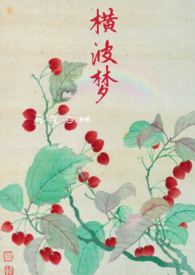 横波梦