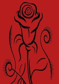 塞格的玫瑰（扶她百合 NP）